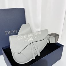 Christian Dior Saddle Bags